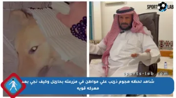 شاهد لحظة هجوم ذئب على مواطن في مزرعته بحائل وكيف نجى بعد معركة قوية